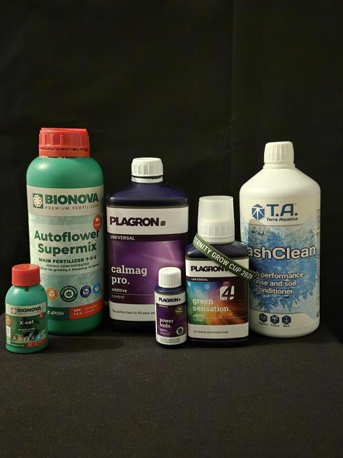 Apple strudel auto. Week 0