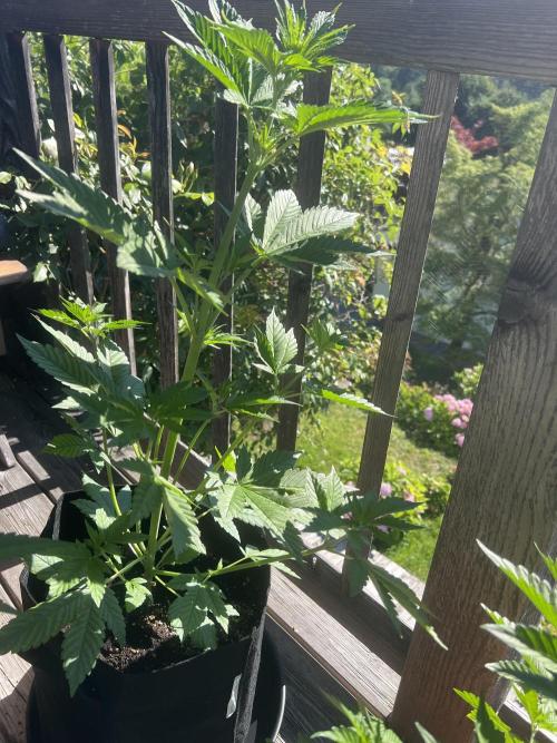 Indoor/Outdoor 2026. Week 5 - Day 30