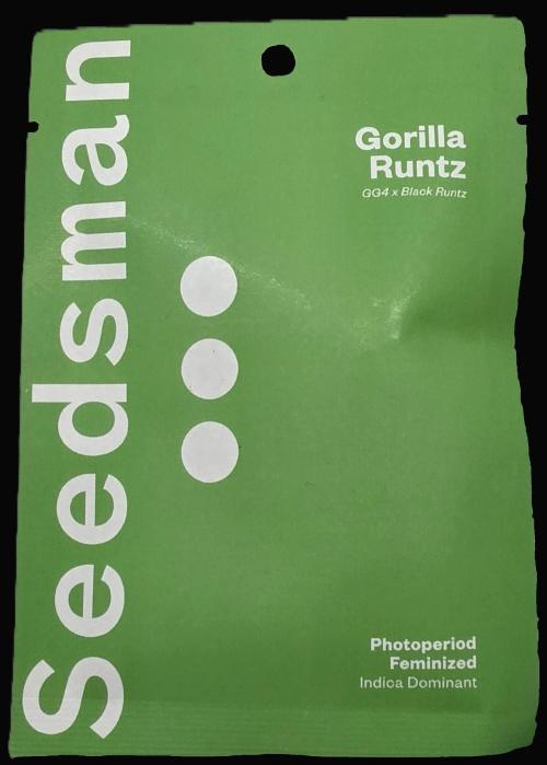 Gorilla Runtz - Living Soil. Week 0