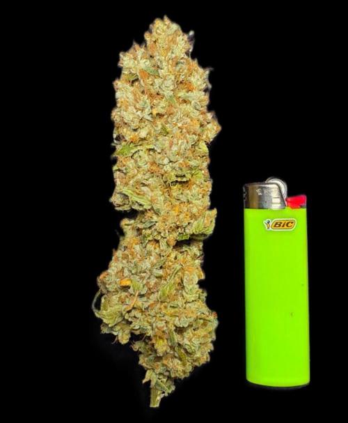Gorilla Runtz. Week 16