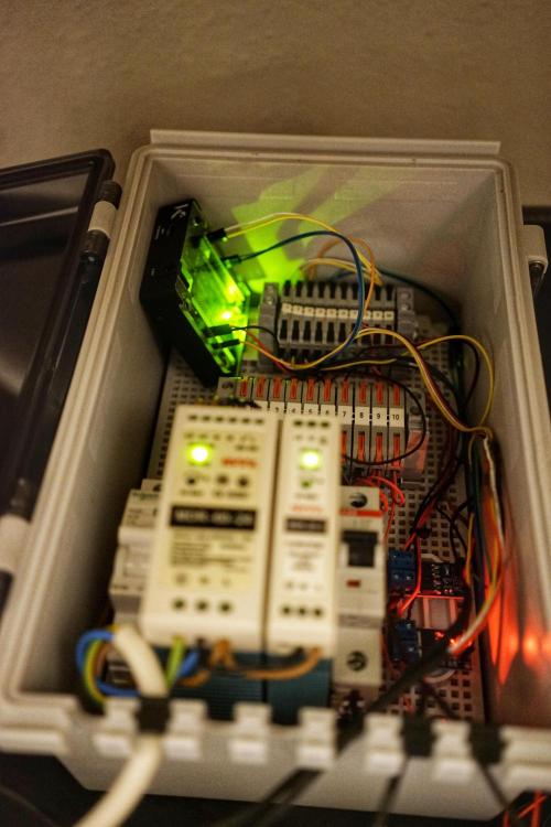 Mini Grow Setup. Week 6