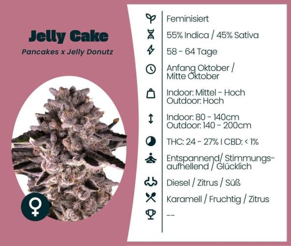 Seedsupplier.de Jelly Cake in 40x40. Week 0