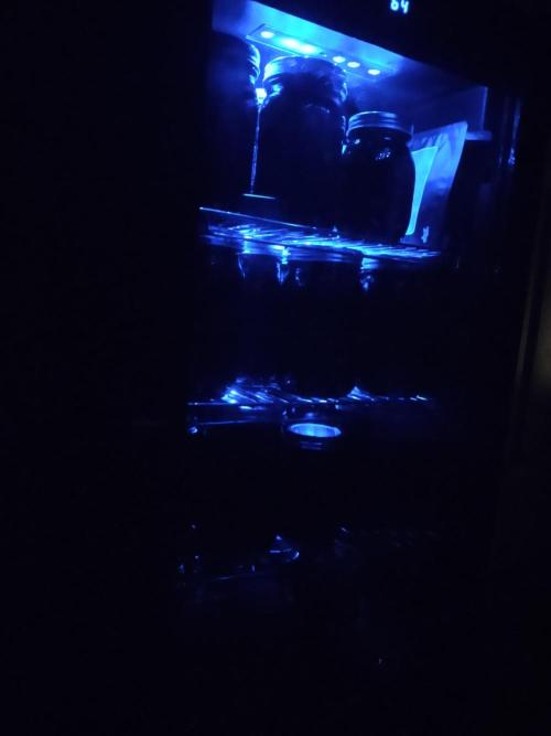 GTR Triploid Burmuda Triangle. Week 12 - cool cured at same temps as dry . very important to not burst trichomes. 