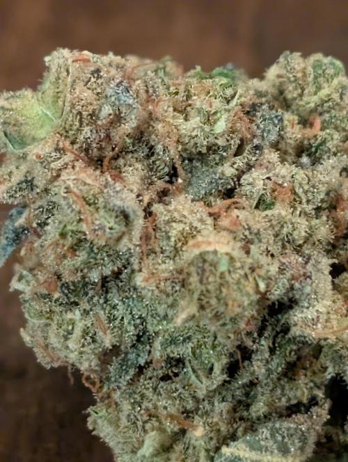 Gorilla cookies FF. Week 12