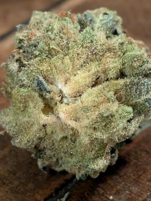 Gorilla cookies FF. Week 12