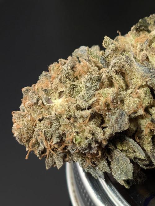 Permanent marker x endgame 3 pheno 2. Week 12