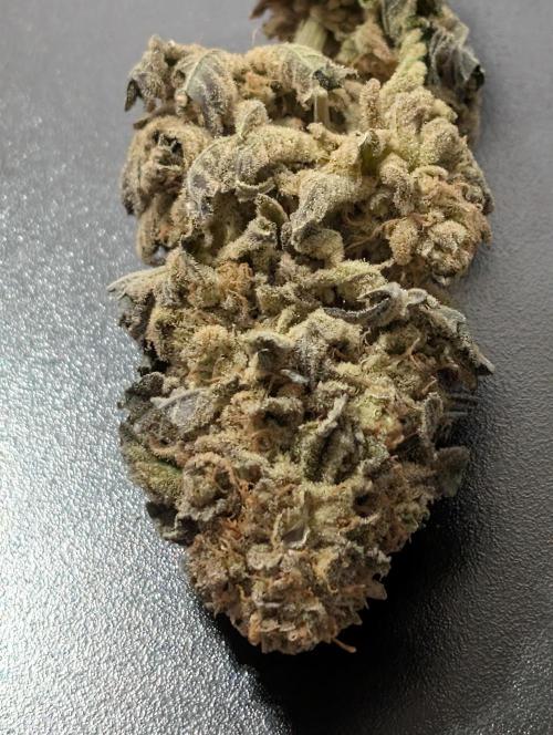 Permanent marker x endgame 3 pheno 2. Week 12