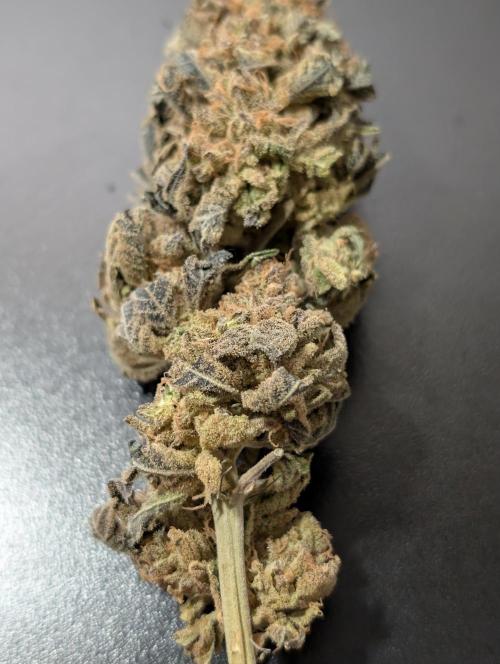 Permanent marker x endgame 3 pheno 2. Week 12