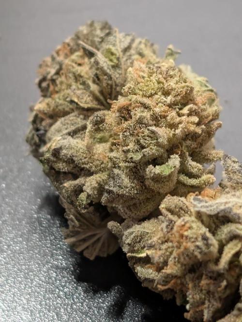 Permanent marker x endgame 3. Week 12