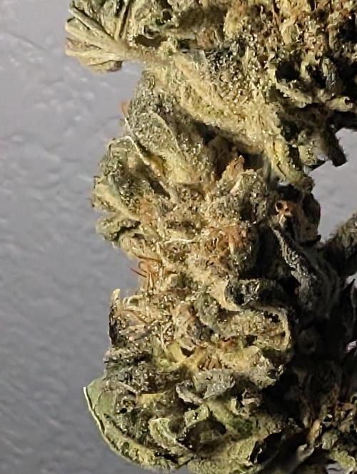 Permanent marker x endgame 3. Week 12