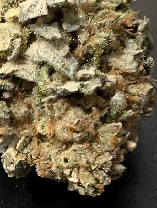 Permanent marker x endgame 3. Week 12