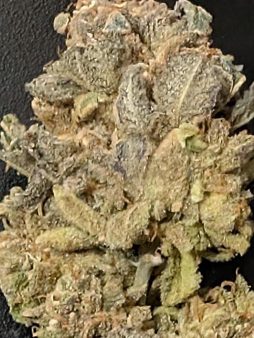 Permanent marker x endgame 3. Week 12