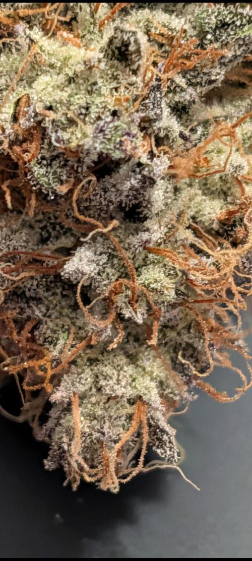 Highbearnation. Week 9 - 🏆 Dried and cured. spot on Terp to smoke translation. fizzy cherry punch!