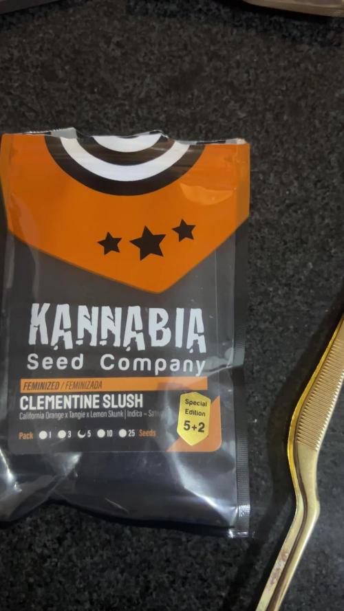 Kannabia RDWC