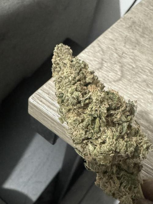 Banana Dance [Freedom of Seeds]. Week 1 - Last run