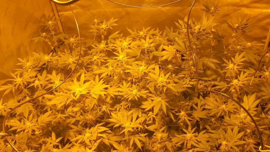 Block Monster Run II