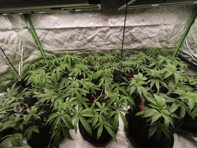 Premium Clone Mix 1 2026. Week 9 - vegi
11.04.2026