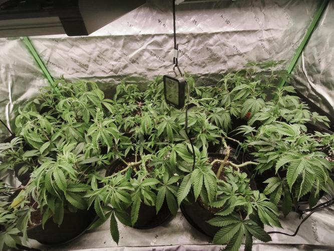 Premium Clone Mix 1 2026. Week 9 - vegi
15.04.2026