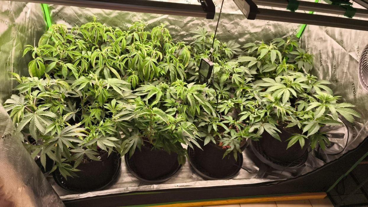 Premium Clone Mix 1 2026. Week 11 - Placeholder