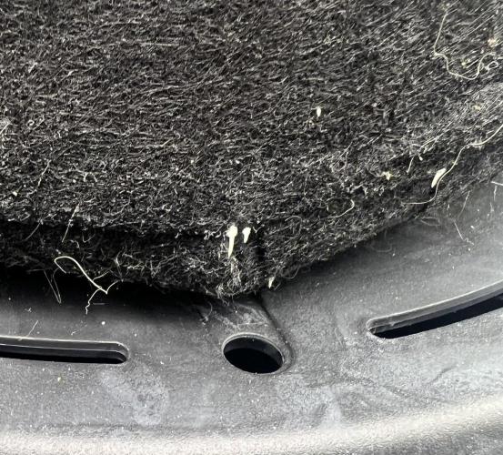 Night Owl Base Camp. Week 2 - Day 17 And roots are sticking out 