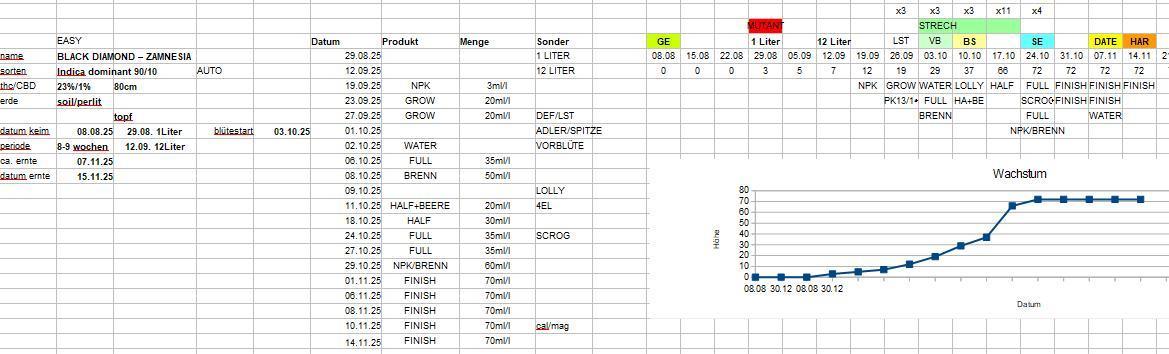 Marilyn's Best Friend. Week 12