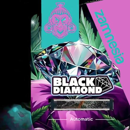 Marilyn's Best Friend. Week 13