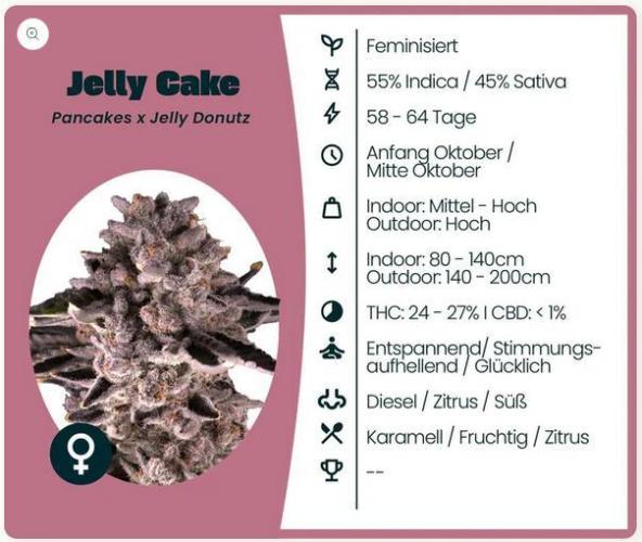 Jelly Cake. Week 0