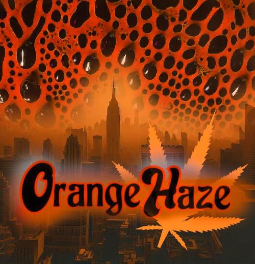 Orange Haze. Week 0