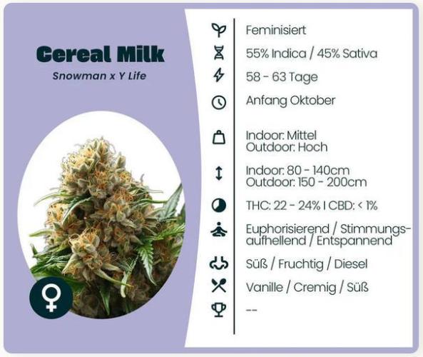 Cereal Milk. Week 0