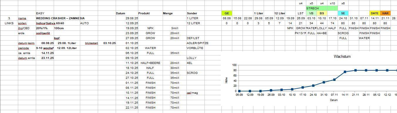 Super Crasher Wedding. Week 13 - STATS