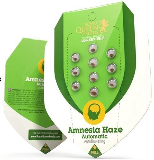 AmnesiaHaze. Week 0