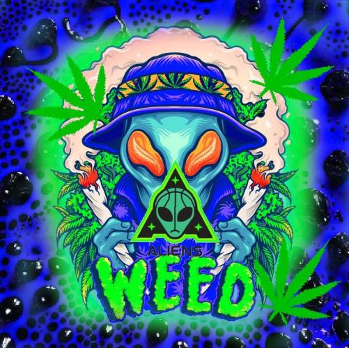 AlienzAuto. Week 0