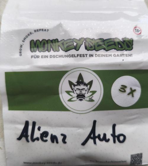 AlienzAuto. Week 0