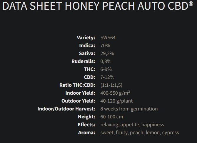 HoneyPeachAuto. Week 0