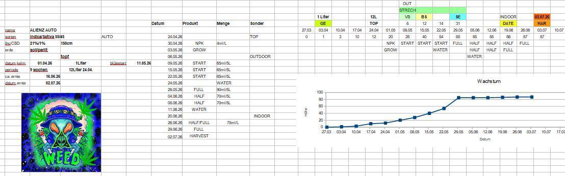 P2500. Week 13
