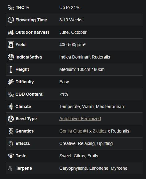 P2500. Week 0