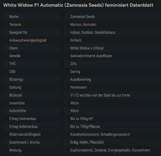 WhiteWidowAuto F1. Week 0 - stats