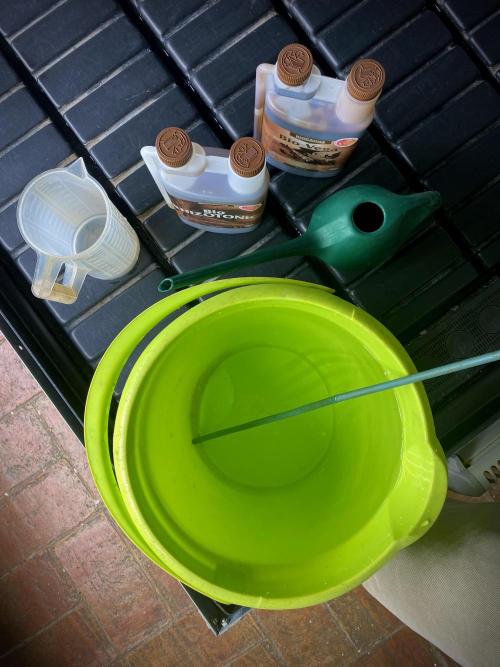 Moby Dick by Kannabia. Week 2 - Dosificando fertilizantes.