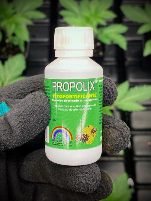 Moby Dick by Kannabia. Week 4