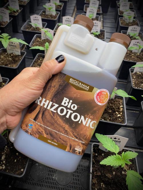 Clementine Slush BioBoost vs Clementine. Week 1 - Bio Rhizotonic.