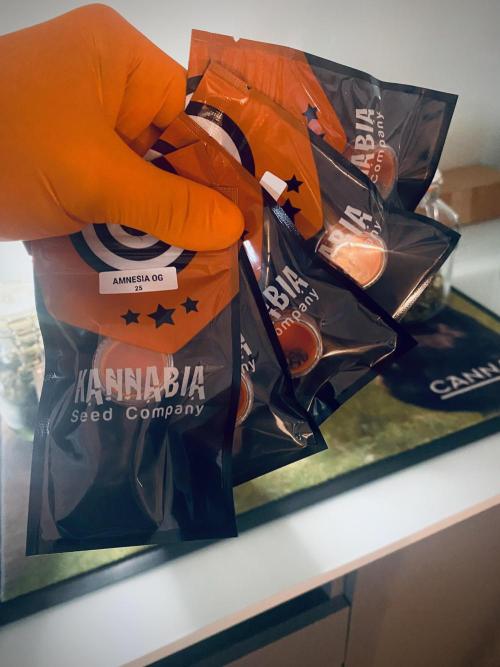 Cup Junky TEST PHASE. Week 0 - Pack Kannabia.