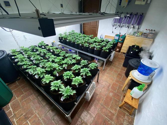 Amnesia Original TEST PHASE. Week 4 - Vista general de la sala.