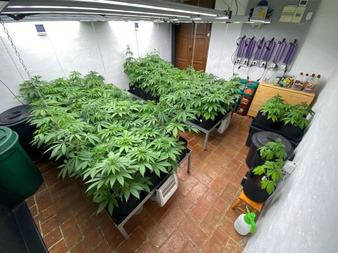 Amnesia OG TEST PHASE. Week 7 - Vista general de la sala.