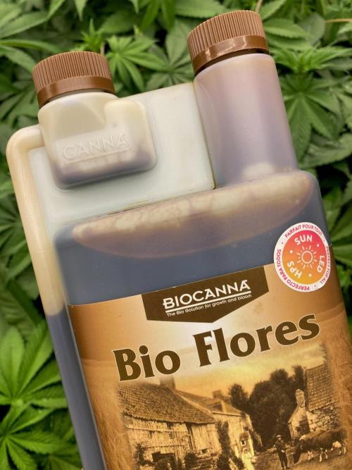Chemstone Ultra Pink TEST PHASE. Week 7 - Bio Flores.
