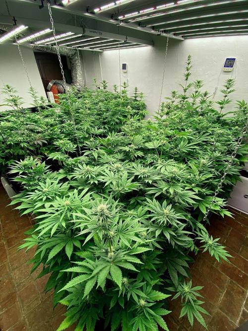 Amnesia Original TEST PHASE. Week 9 - Vista general de la sala.