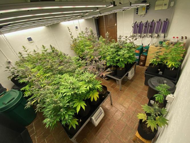Amnesia OG TEST PHASE. Week 11 - Vista general de la sala.
