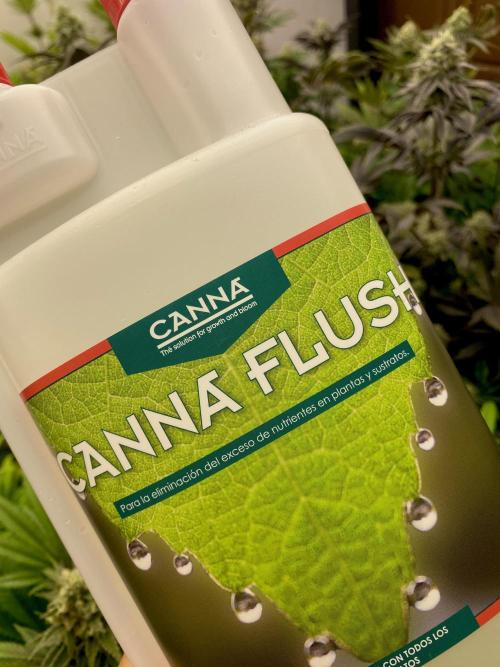 Cup Junky TEST PHASE. Week 11 - Canna Flush by Canna.