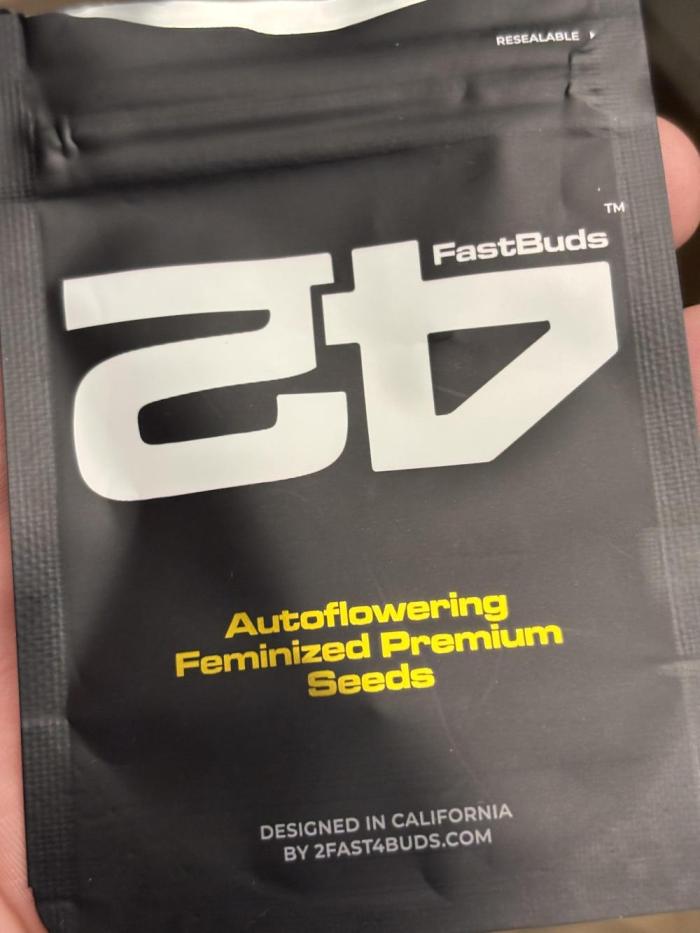 Banana purple punch auto 40L grow. Week 0