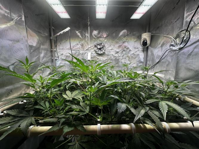 2 Pants 1 Pot - Mephisto. Week 6 - 10.06.26 | Tag 36