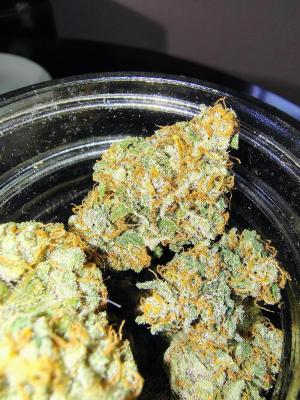 Comment by Scottydarkmoonbuds photo #1
